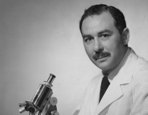 Black and white photo of Dr. Sidney Farber with a microscope