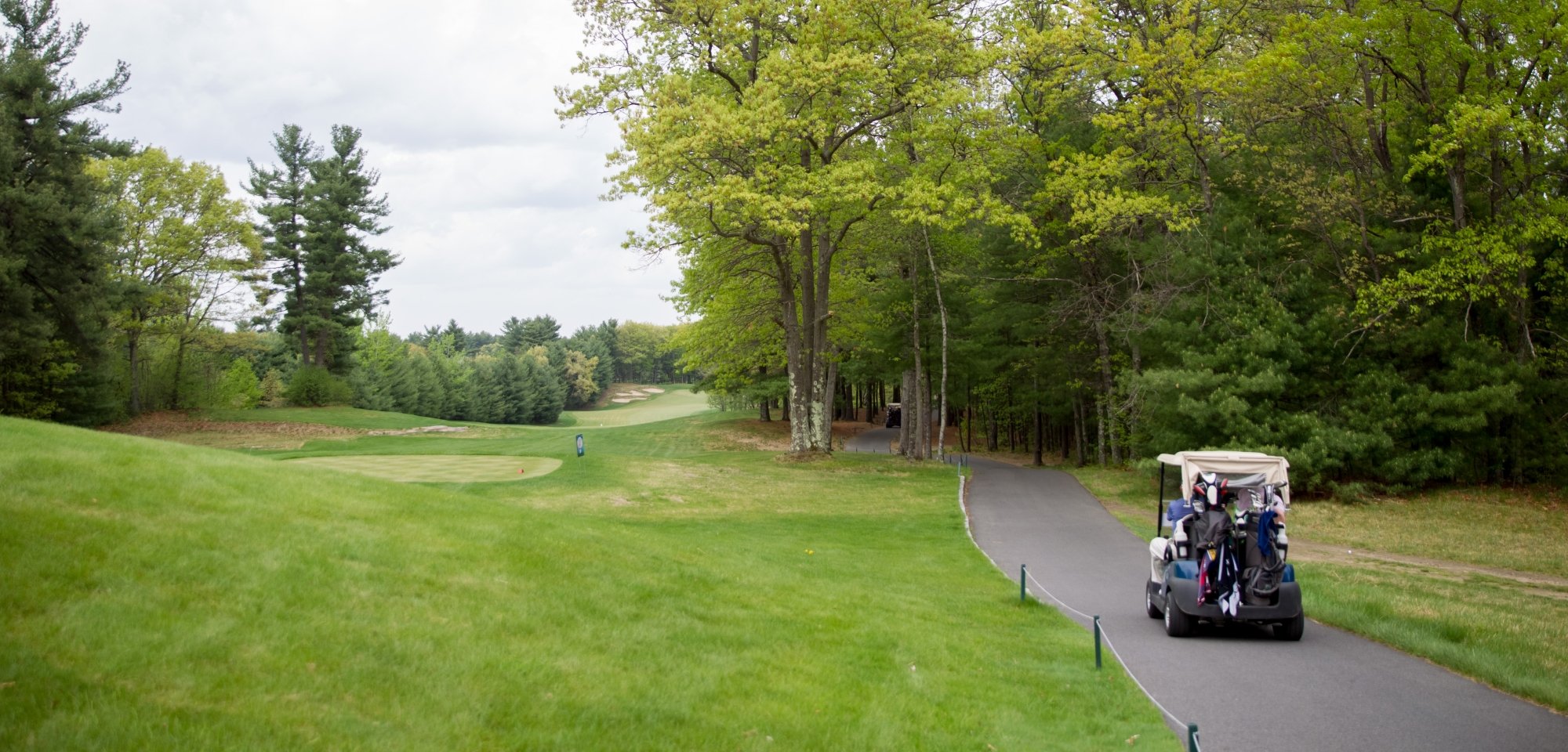 A golfer riding in a golf cart next to a golf course