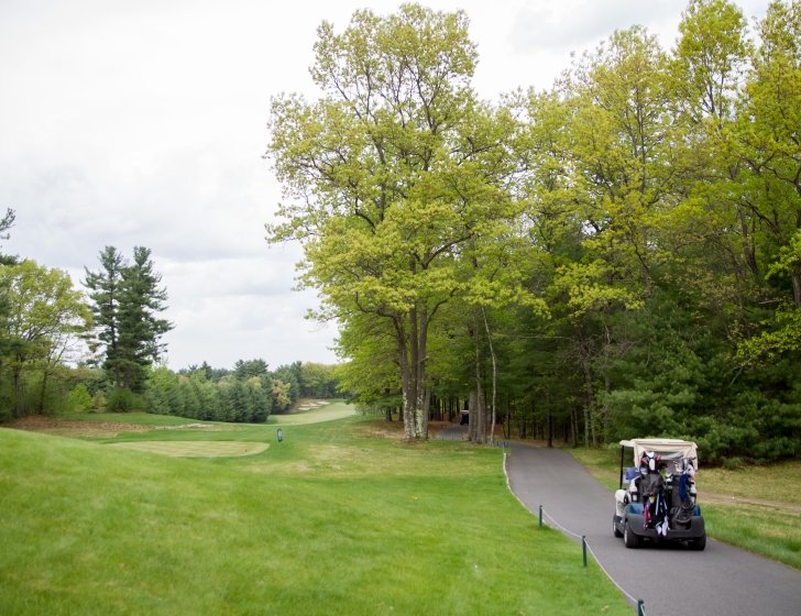 A golfer riding in a golf cart next to a golf course