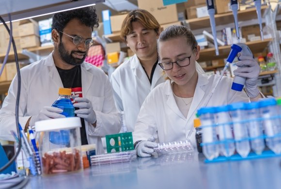Three Dana-Farber Cancer Institute researchers work in their lab