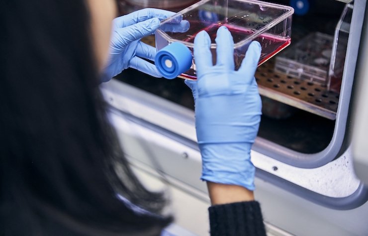 A Dana-Farber researcher using lab equipment
