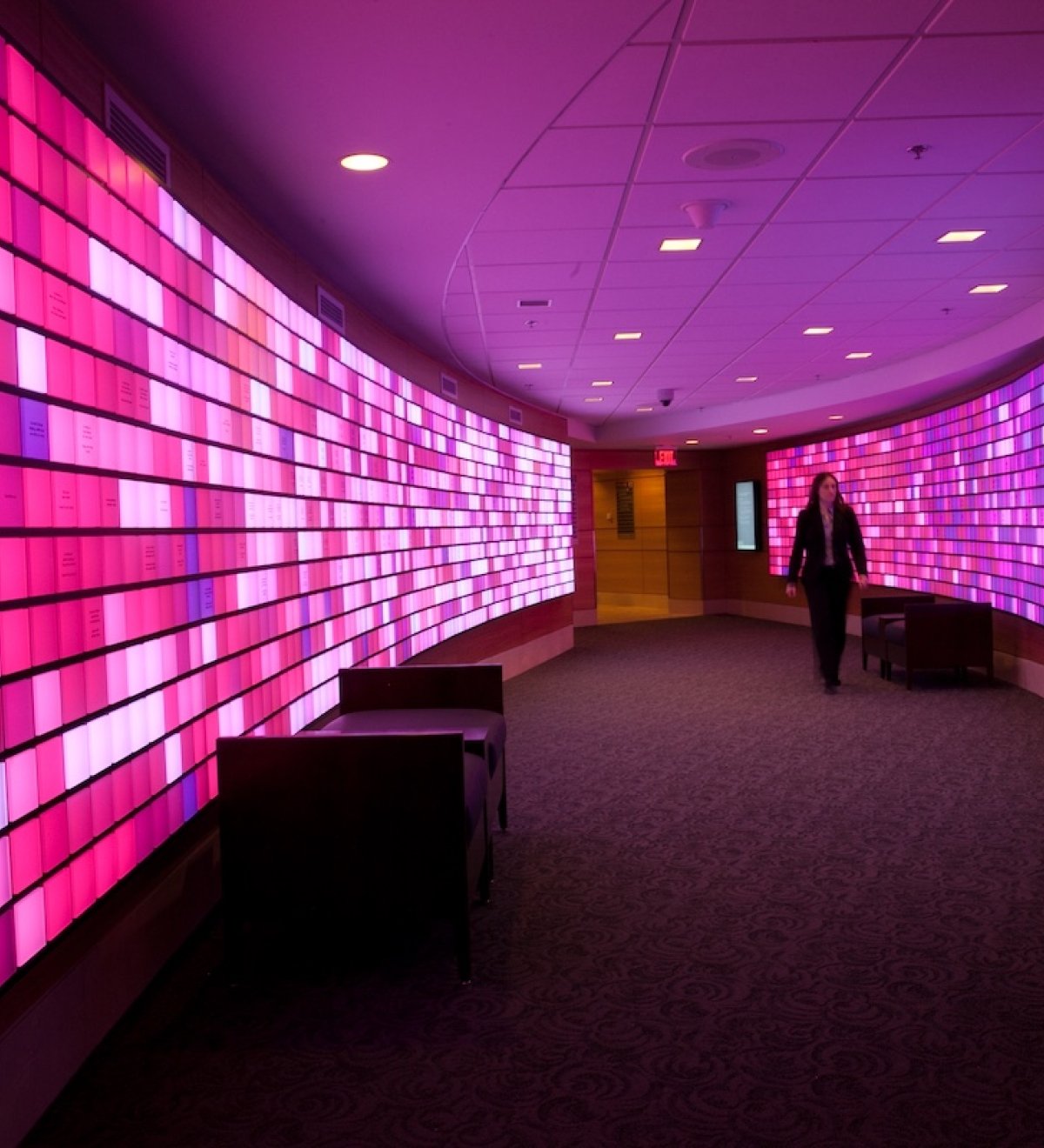 The Gene Display, lit up pink and purple